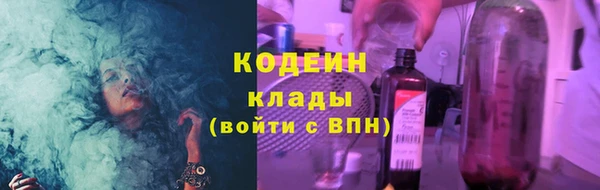 индика Абаза